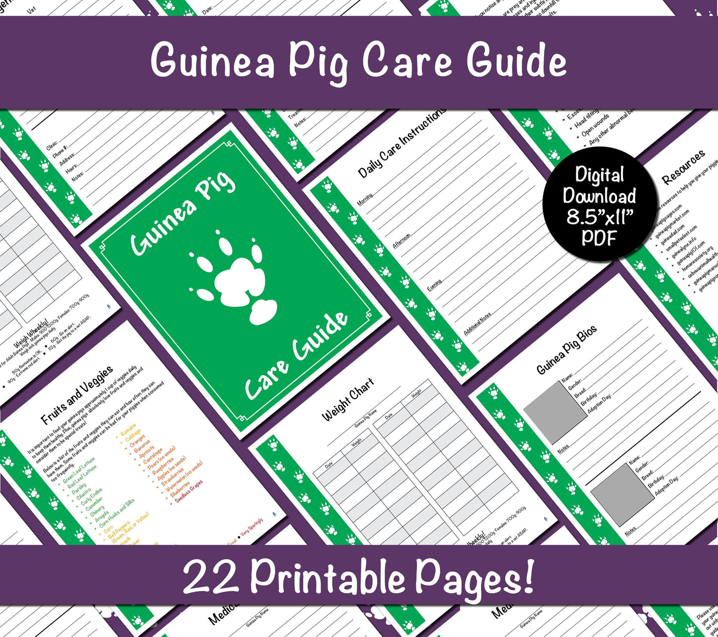 Guinea Pig Care Guide - Green