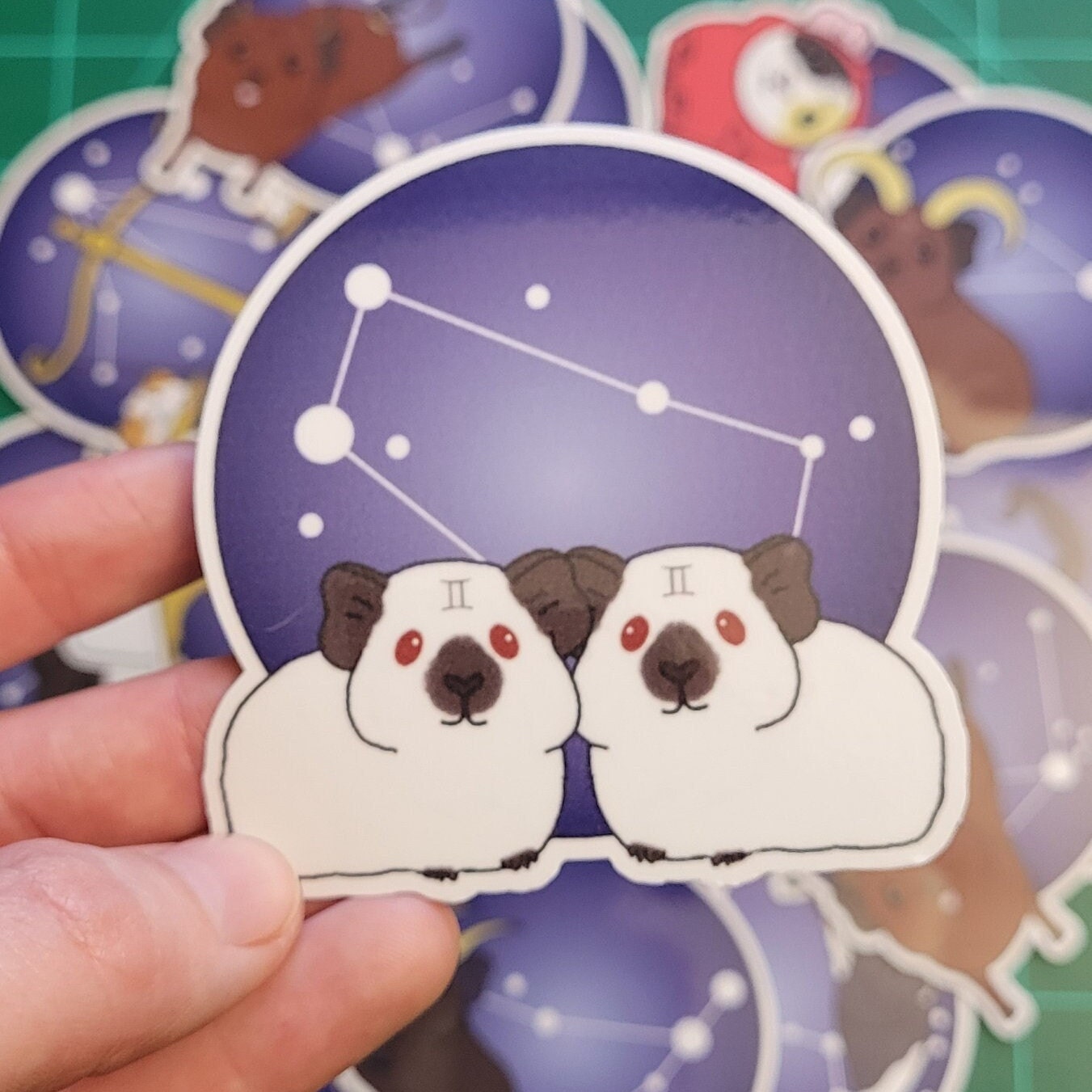 Gemini Guinea Pig Sticker – Zodiac Piggy Decal