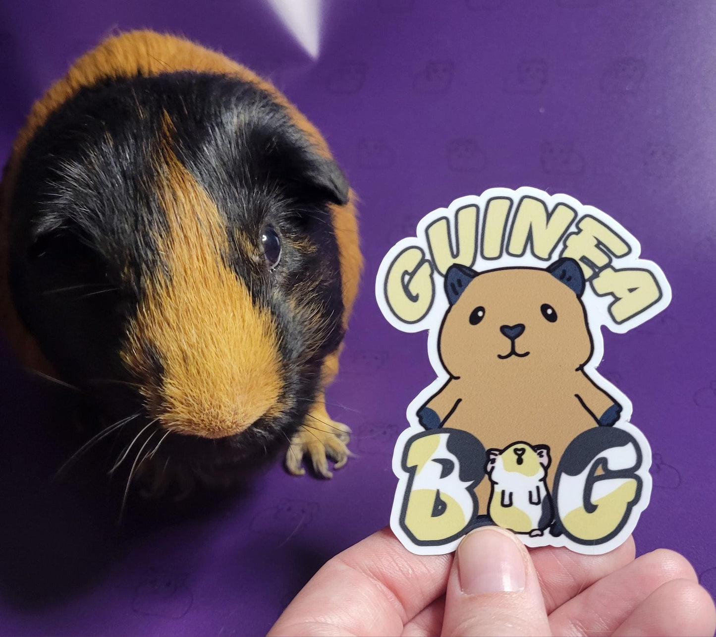 Guinea Big Stickers | stickers for car, water bottle, laptop & more