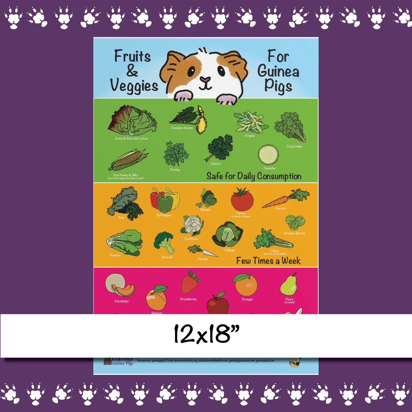 Safe Fruits & Veggies for Guinea Pigs  Infographic Poster Print