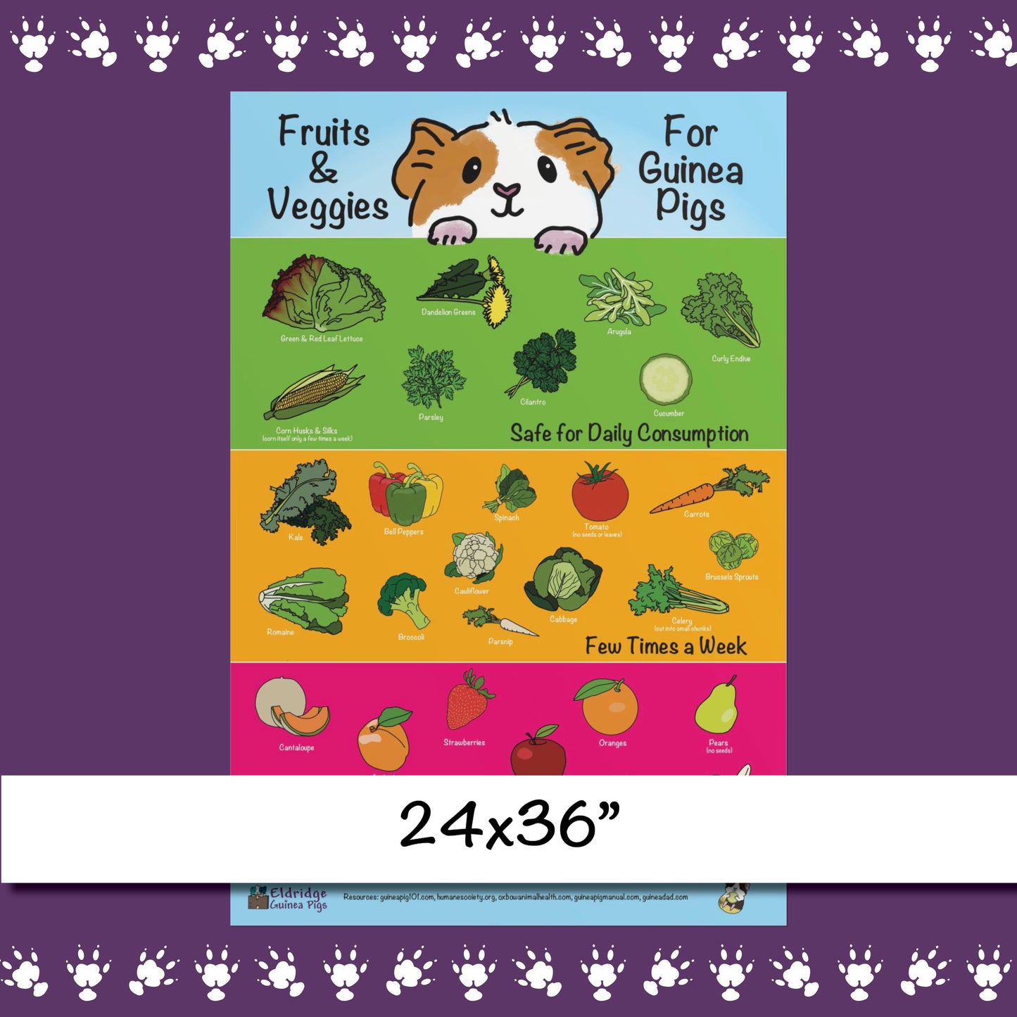 Safe Fruits & Veggies for Guinea Pigs  Infographic Poster Print