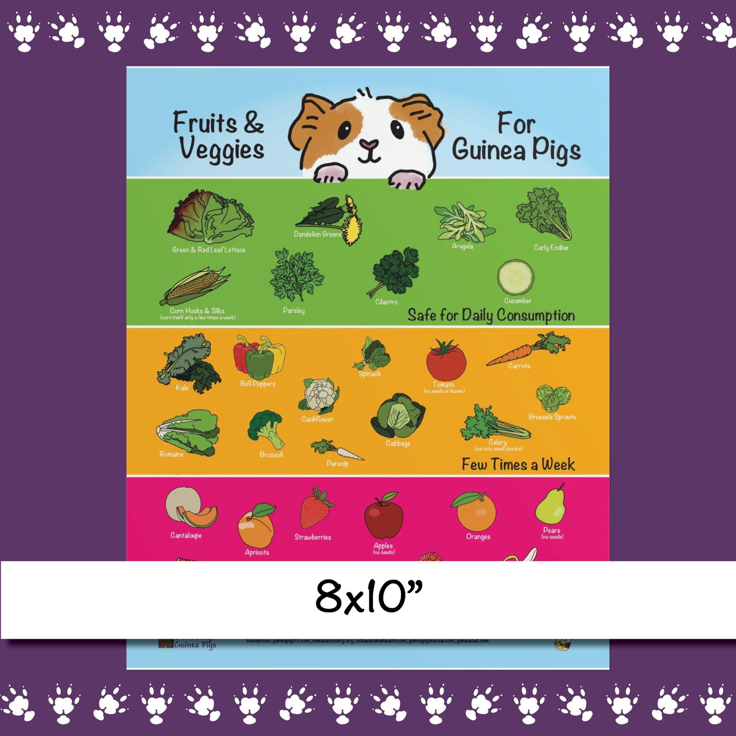 Safe Fruits & Veggies for Guinea Pigs  Infographic Poster Print