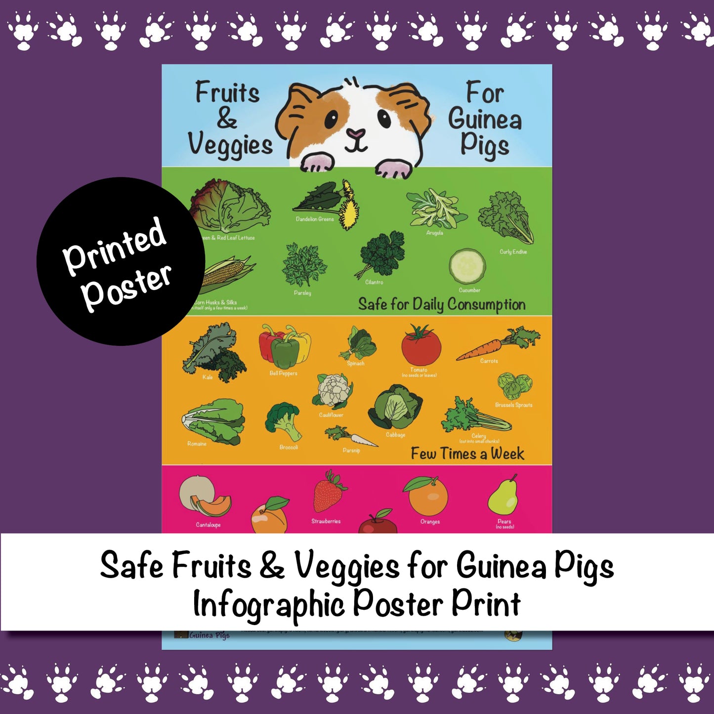 Safe Fruits & Veggies for Guinea Pigs  Infographic Poster Print