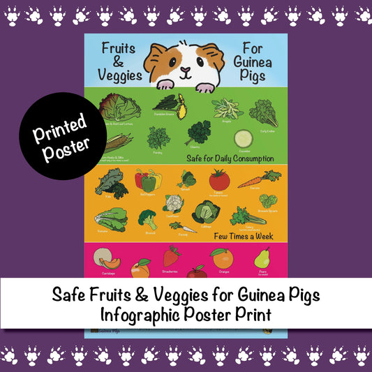 Safe Fruits & Veggies for Guinea Pigs  Infographic Poster Print