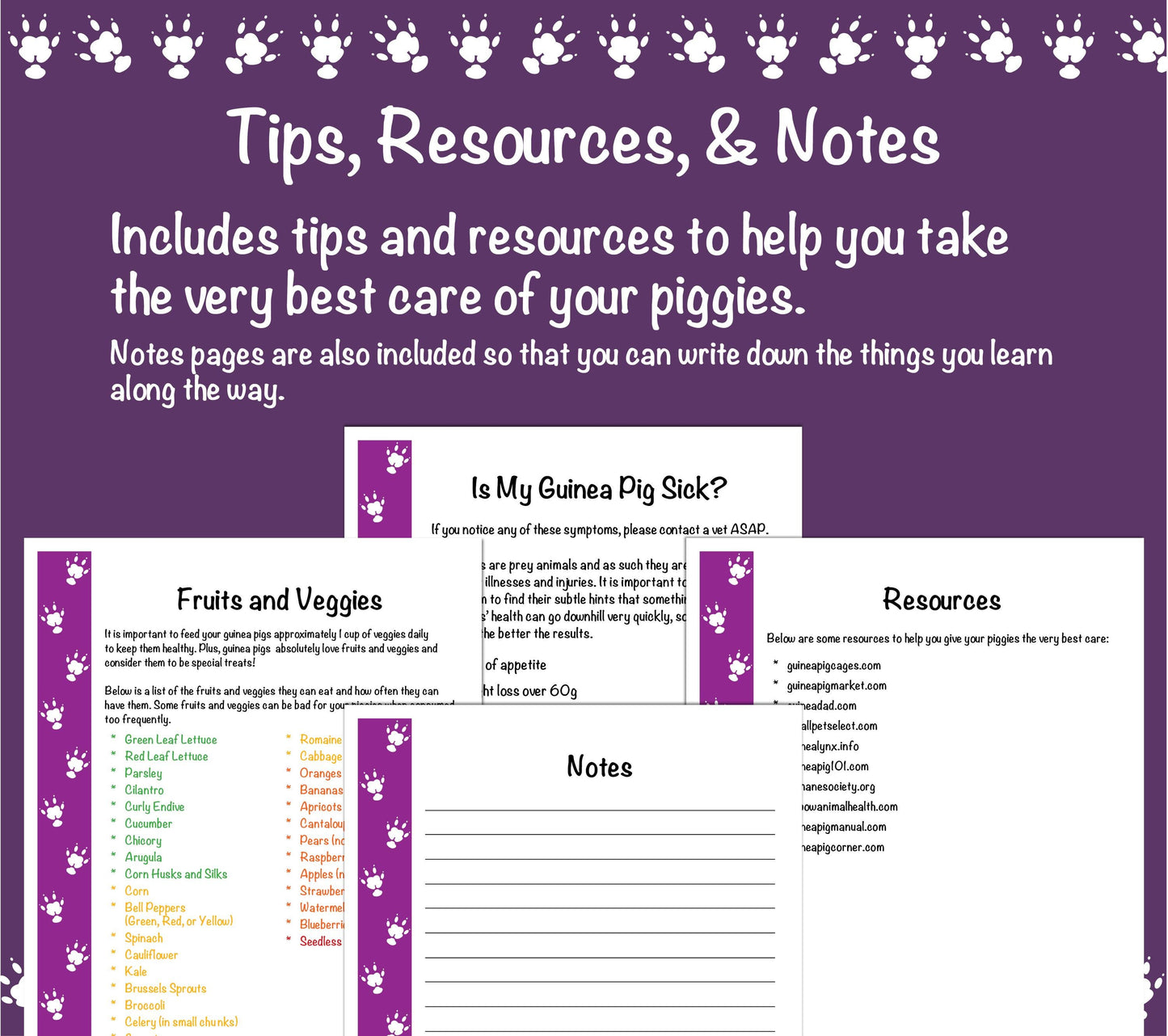 Guinea Pig Care Guide - Purple