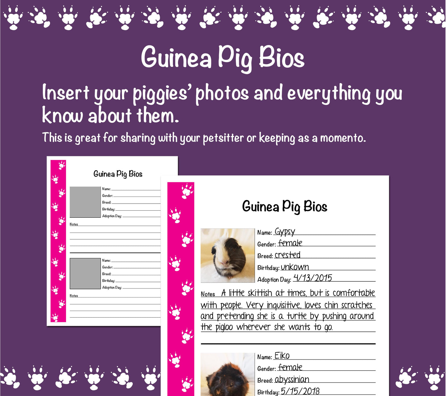 Guinea Pig Care Guide - Pink