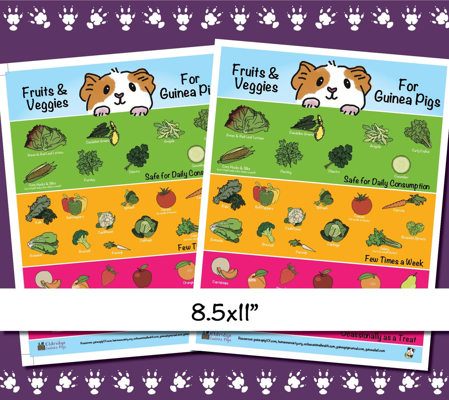 Safe Fruits & Veggies for Guinea Pigs Infographic Poster - Digital Download