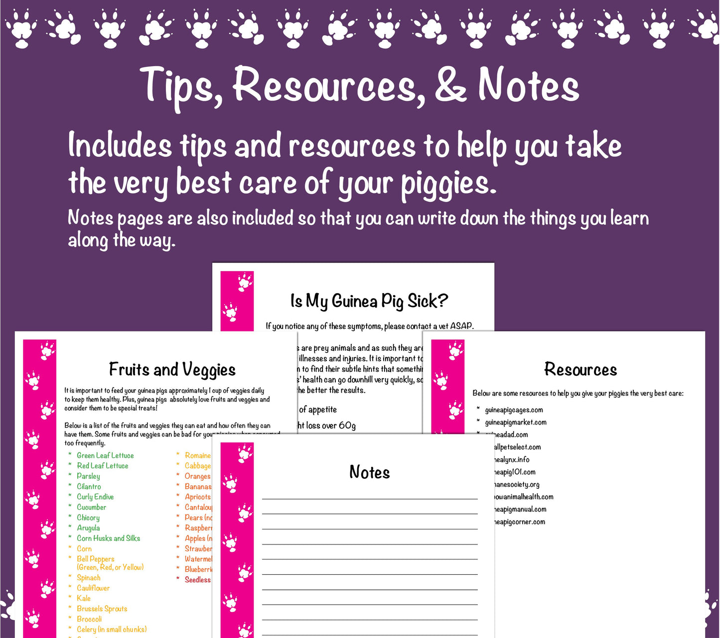 Guinea Pig Care Guide - Pink