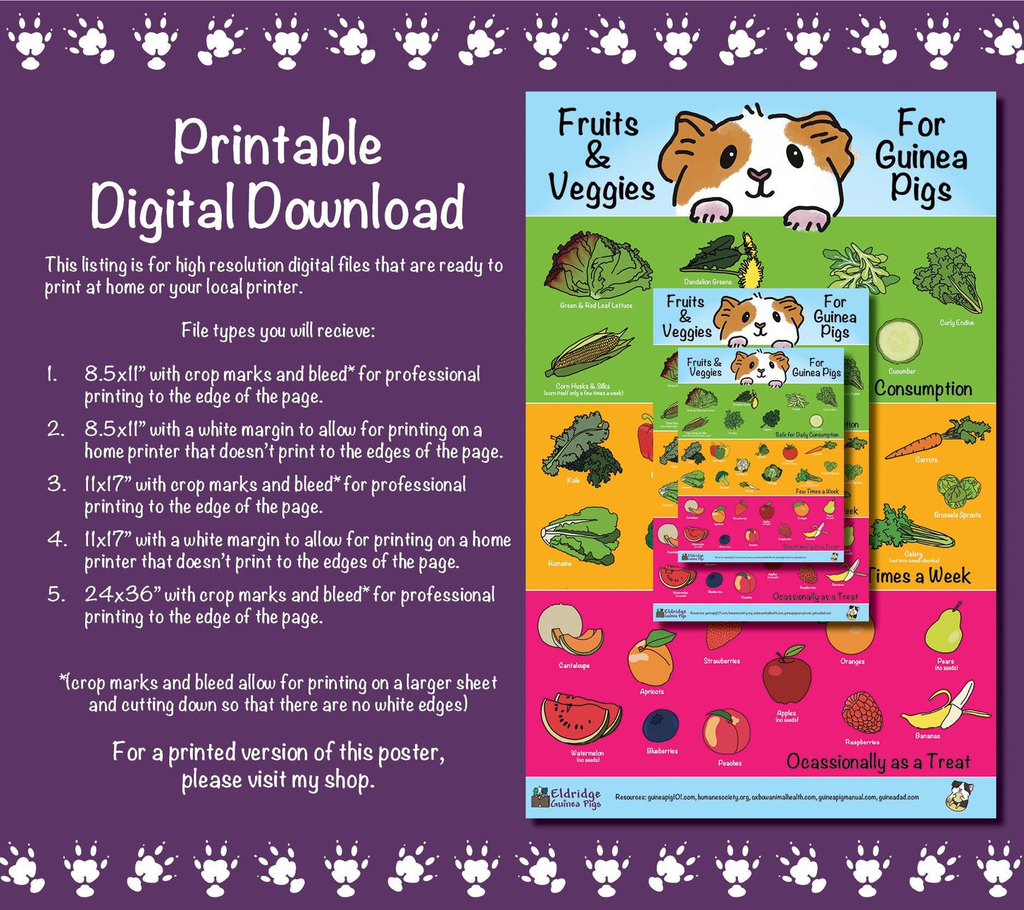 Safe Fruits & Veggies for Guinea Pigs Infographic Poster - Digital Download