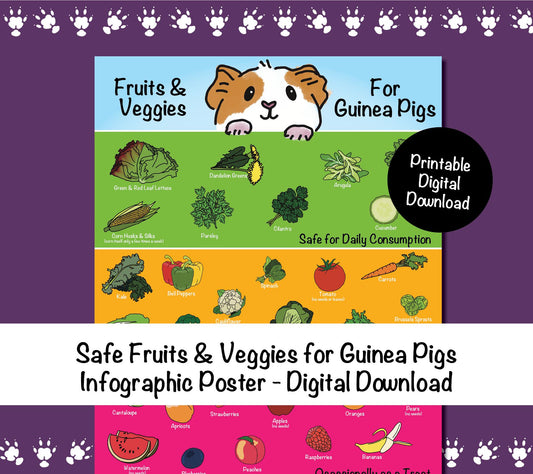 Safe Fruits & Veggies for Guinea Pigs Infographic Poster - Digital Download