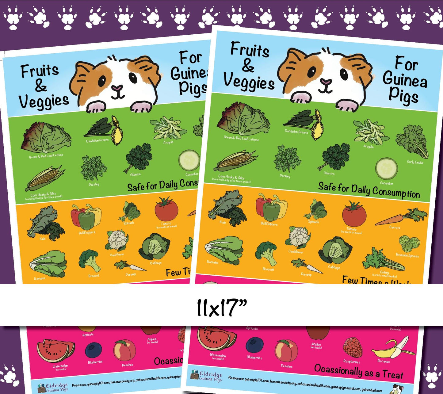 Safe Fruits & Veggies for Guinea Pigs Infographic Poster - Digital Download