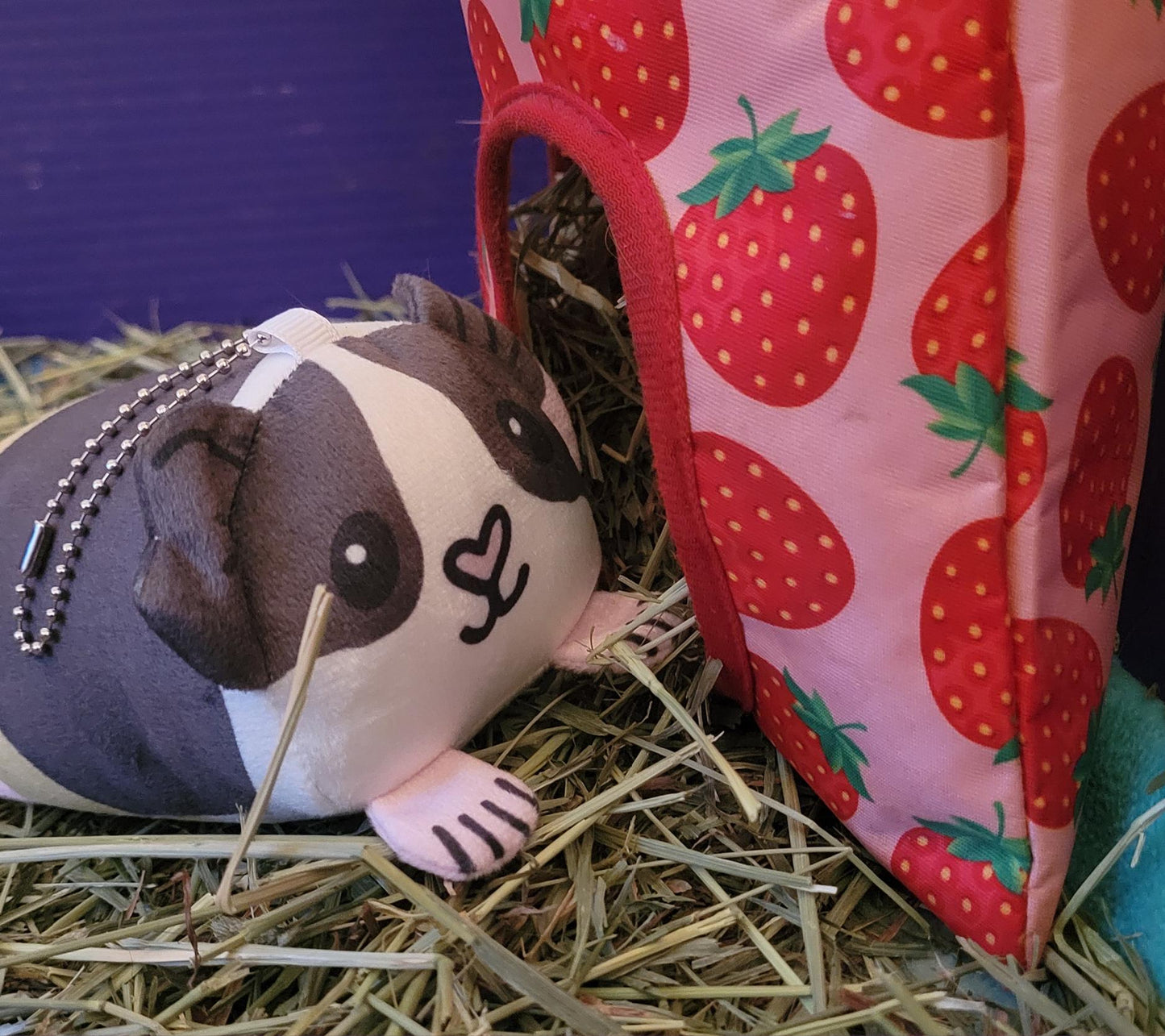 Eva the Guinea Pig - Plush Mochikororin Keychain