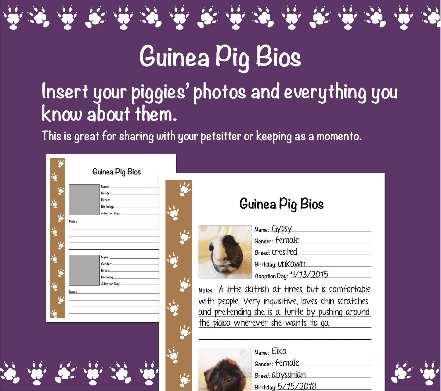 Guinea Pig Care Guide - Brown