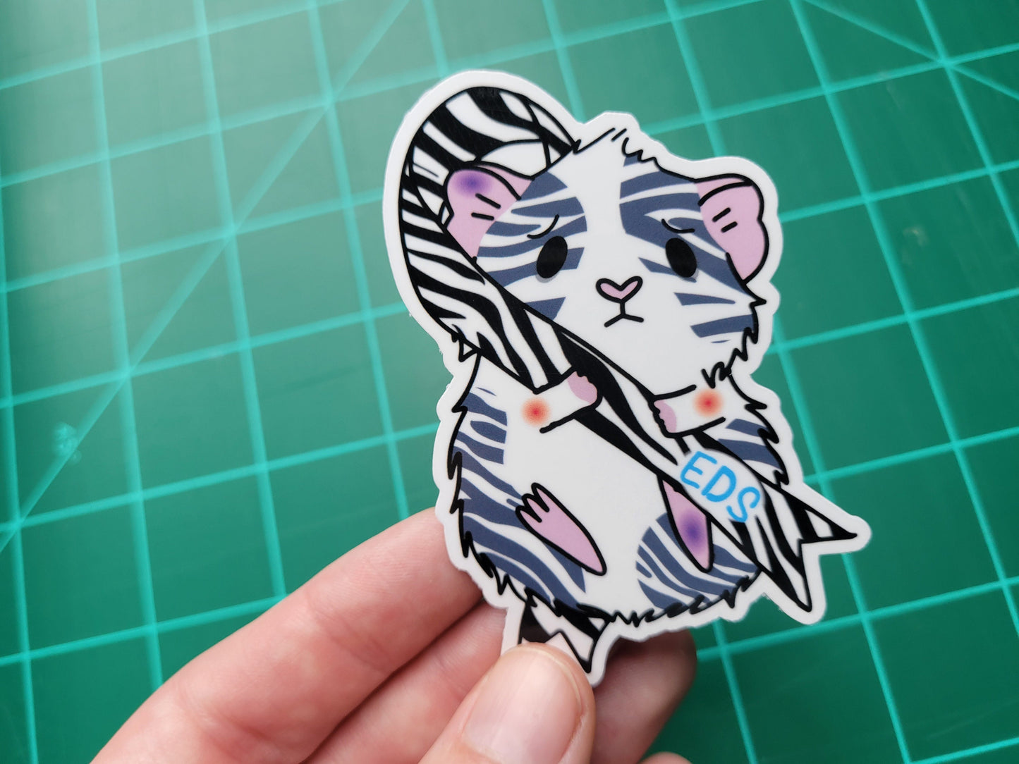 EDS Symptomatic Guinea Pig Sticker | Water Resistant Vinyl
