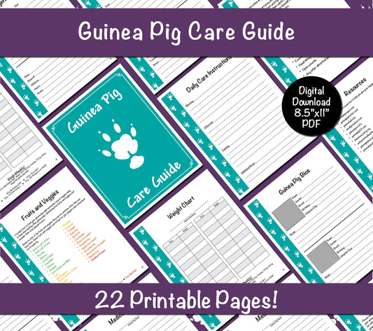 Guinea Pig Care Guide - Teal
