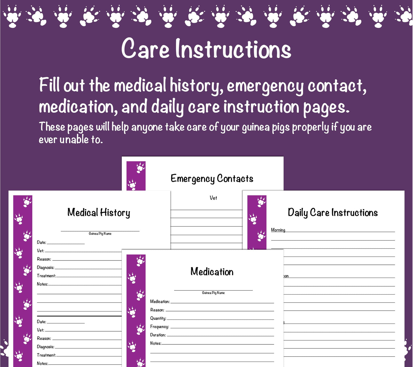 Guinea Pig Care Guide - Purple