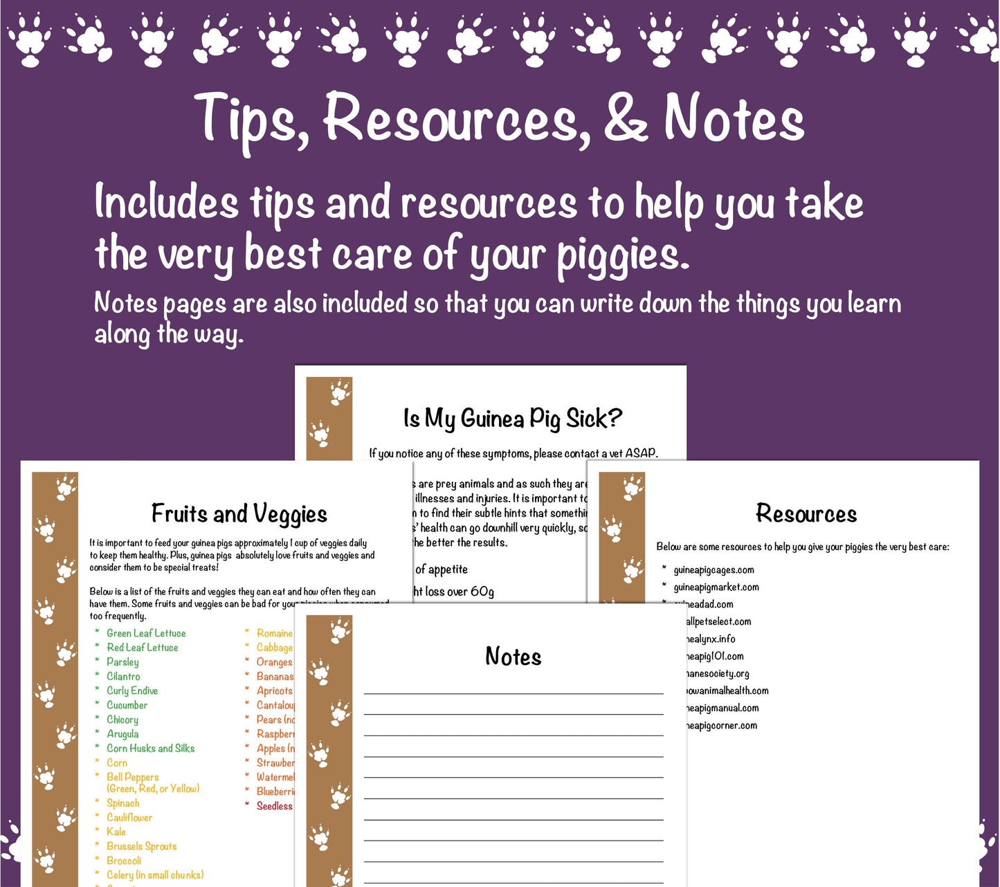 Guinea Pig Care Guide - Brown
