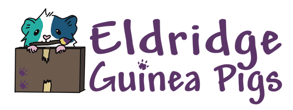Eldridge Guinea Pigs