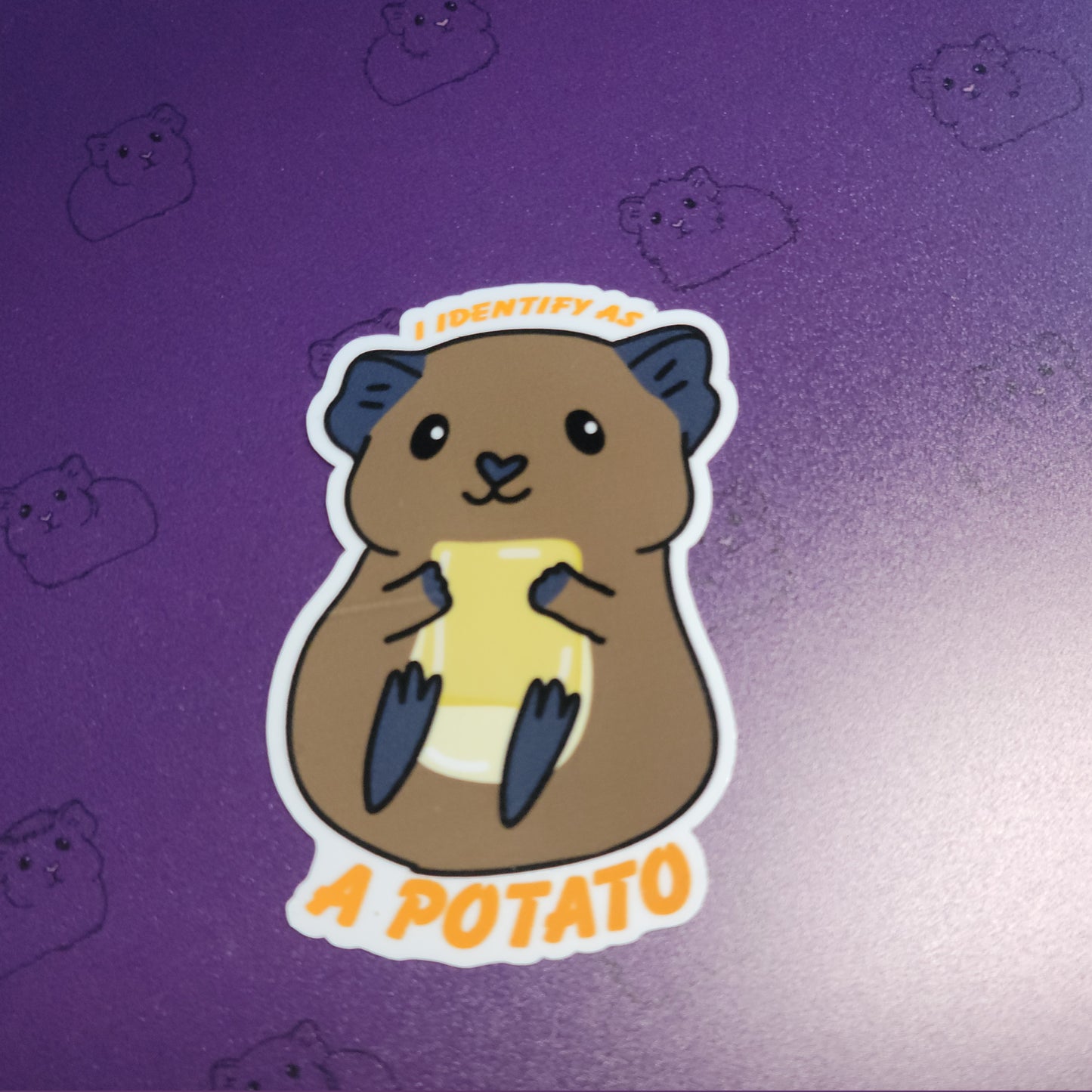 I Identify as a Potato ~ Guinea Pig Stickers | stickers for car, water bottle, laptop & more