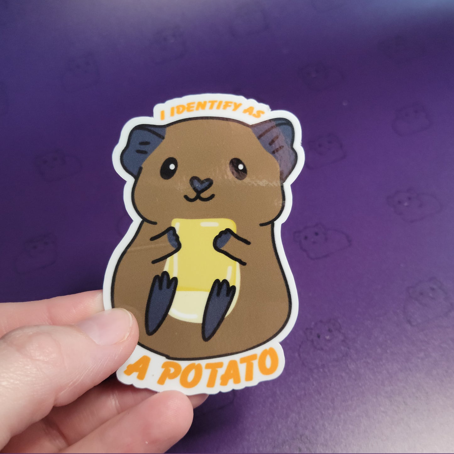 I Identify as a Potato ~ Guinea Pig Stickers | stickers for car, water bottle, laptop & more