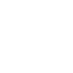 Social icon 5