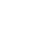 Social icon 2