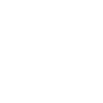 Social icon 3