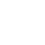 Social icon 1