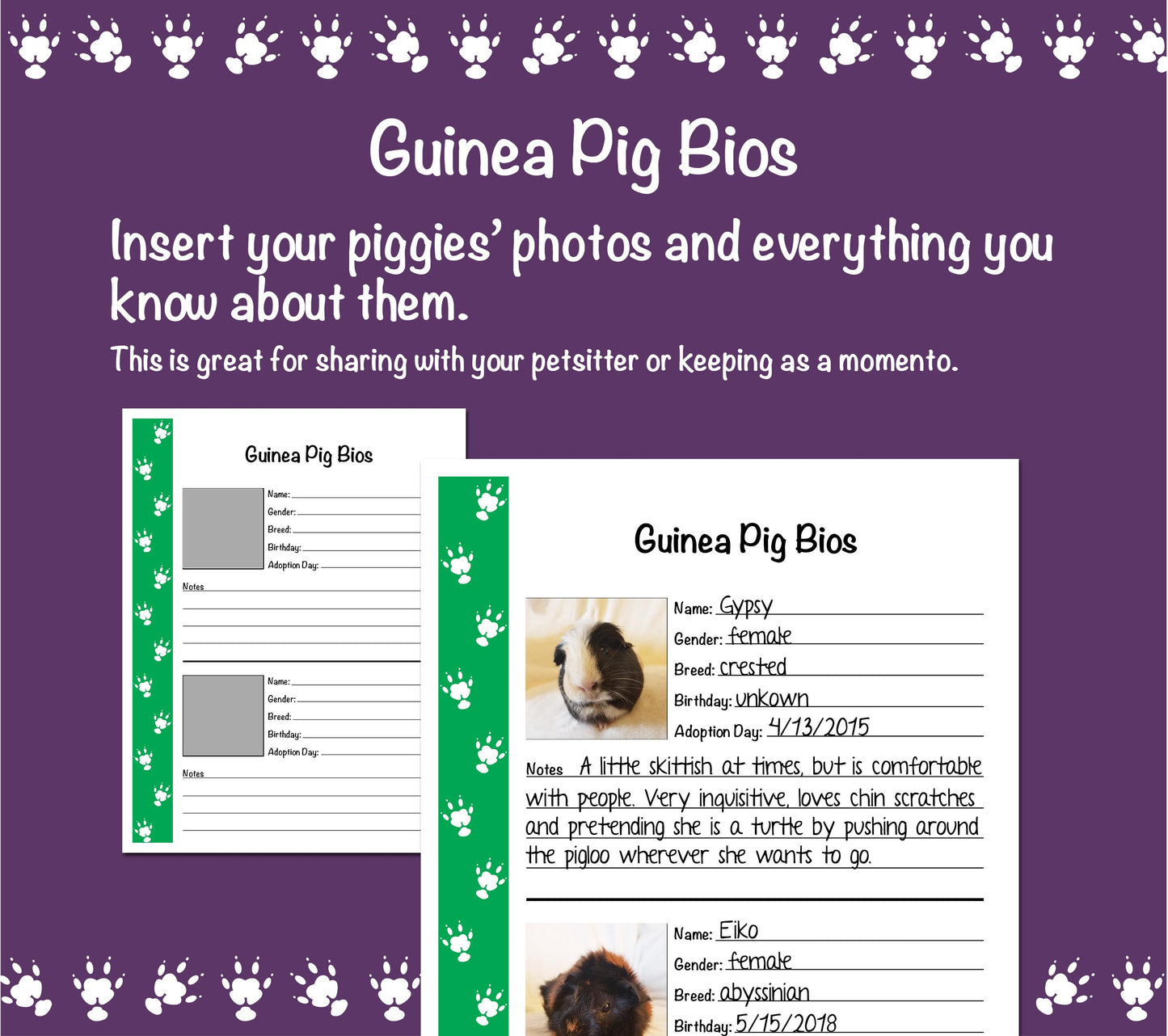 Guinea Pig Care Guide - Green