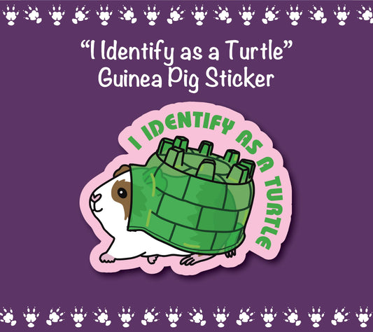 I Identify as a Turtle ~ Guinea Pig Stickers | stickers for car, water bottle, laptop & more