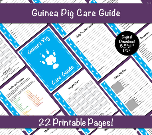 Guinea Pig Care Guide - Blue