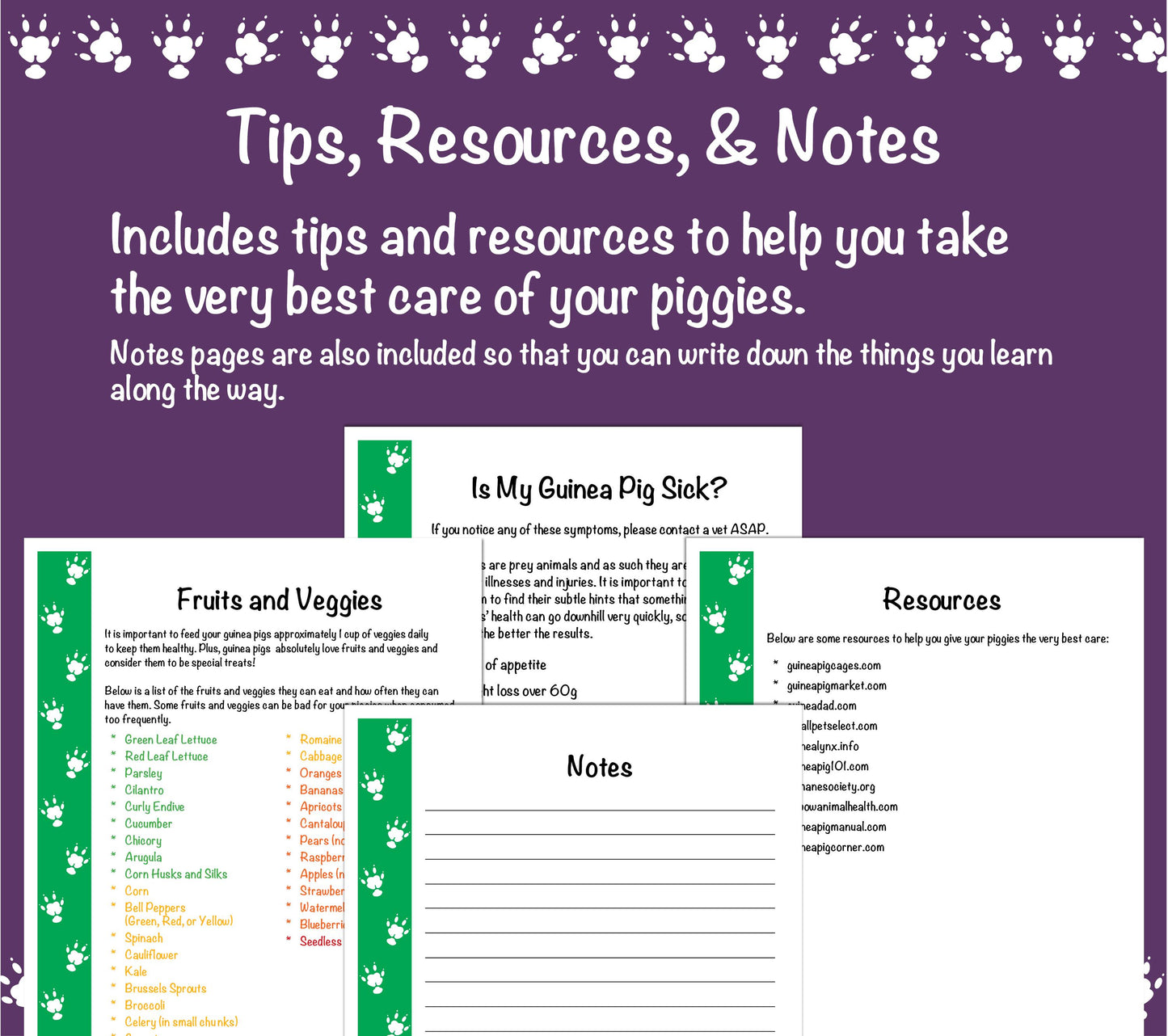 Guinea Pig Care Guide - Green