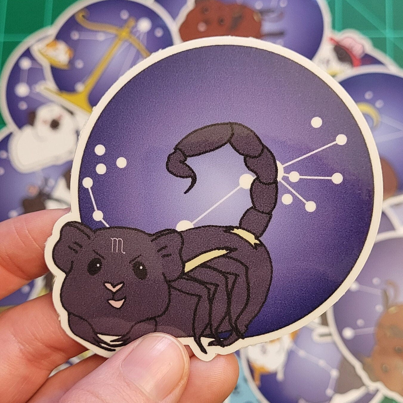 Scorpio Zodiac Guinea Pig Sticker - Zodiac Piggy Decal