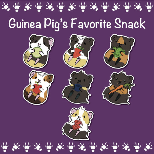 Guinea Pig's Favorite Snack Stickers | Water resistant stickers for car, waterbottle, laptop & more | Perfect gift for guinea pig lovers