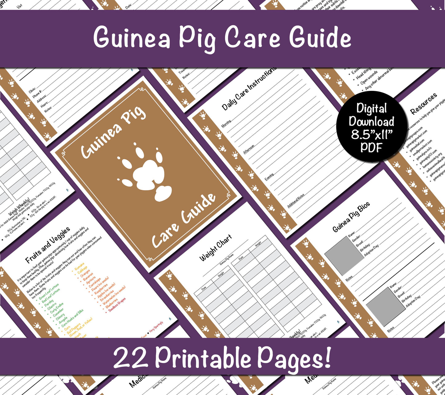 Guinea Pig Care Guide - Brown