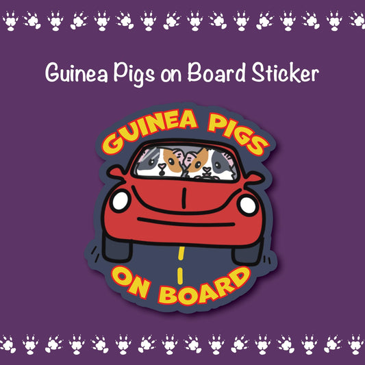 Guinea Pigs on Board Stickers | stickers for car, water bottle, laptop & more