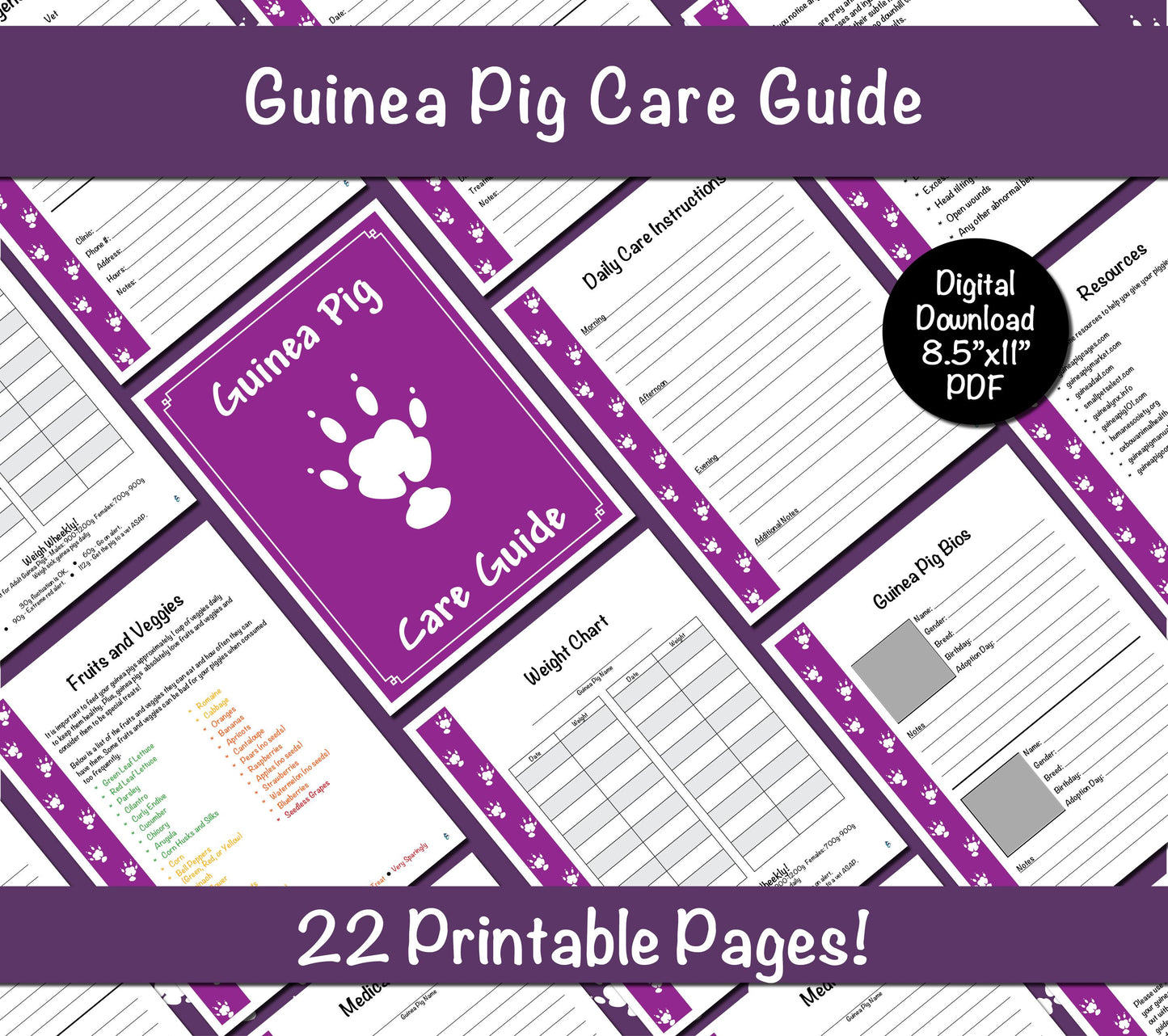 Guinea Pig Care Guide - Purple