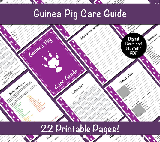 Guinea Pig Care Guide - Purple