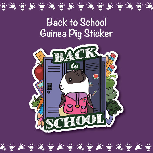 Back to School Guinea Pig Stickers | stickers for car, water bottle, laptop & more