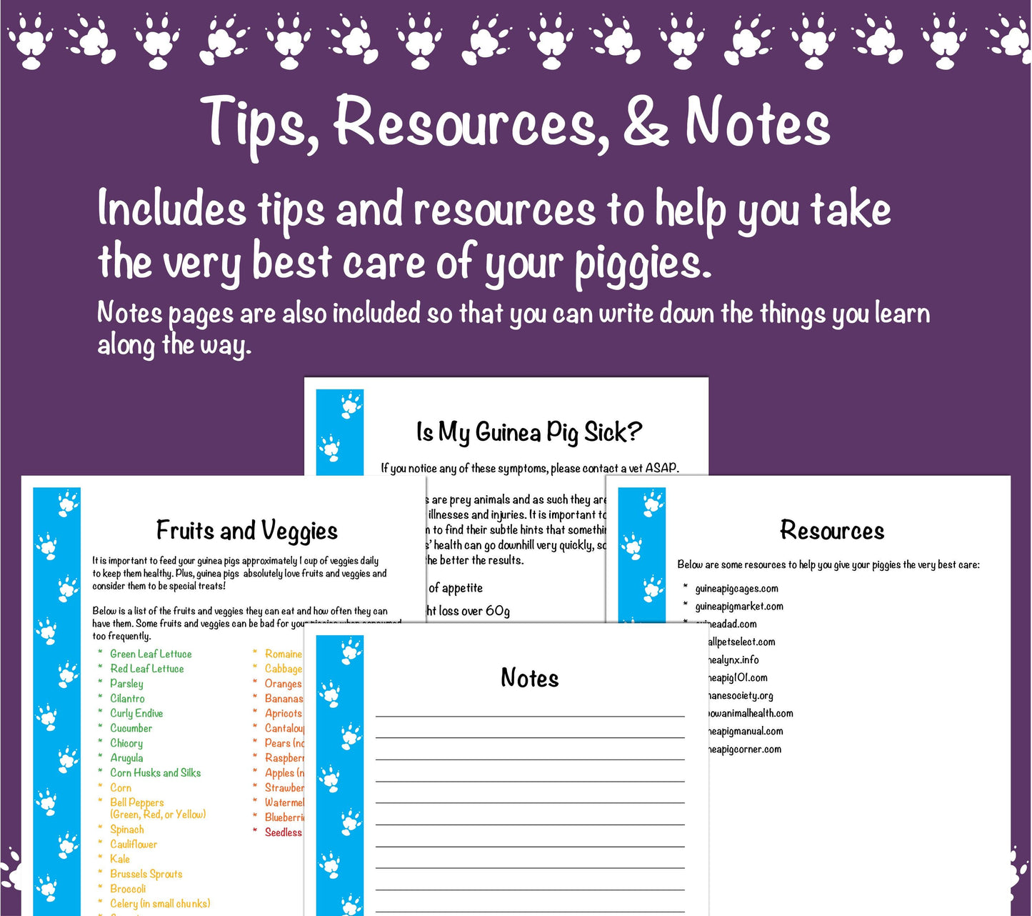 Guinea Pig Care Guide - Blue