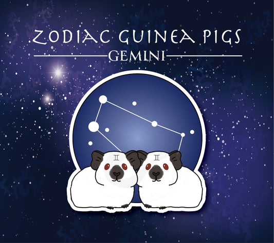 Gemini Guinea Pig Sticker – Zodiac Piggy Decal