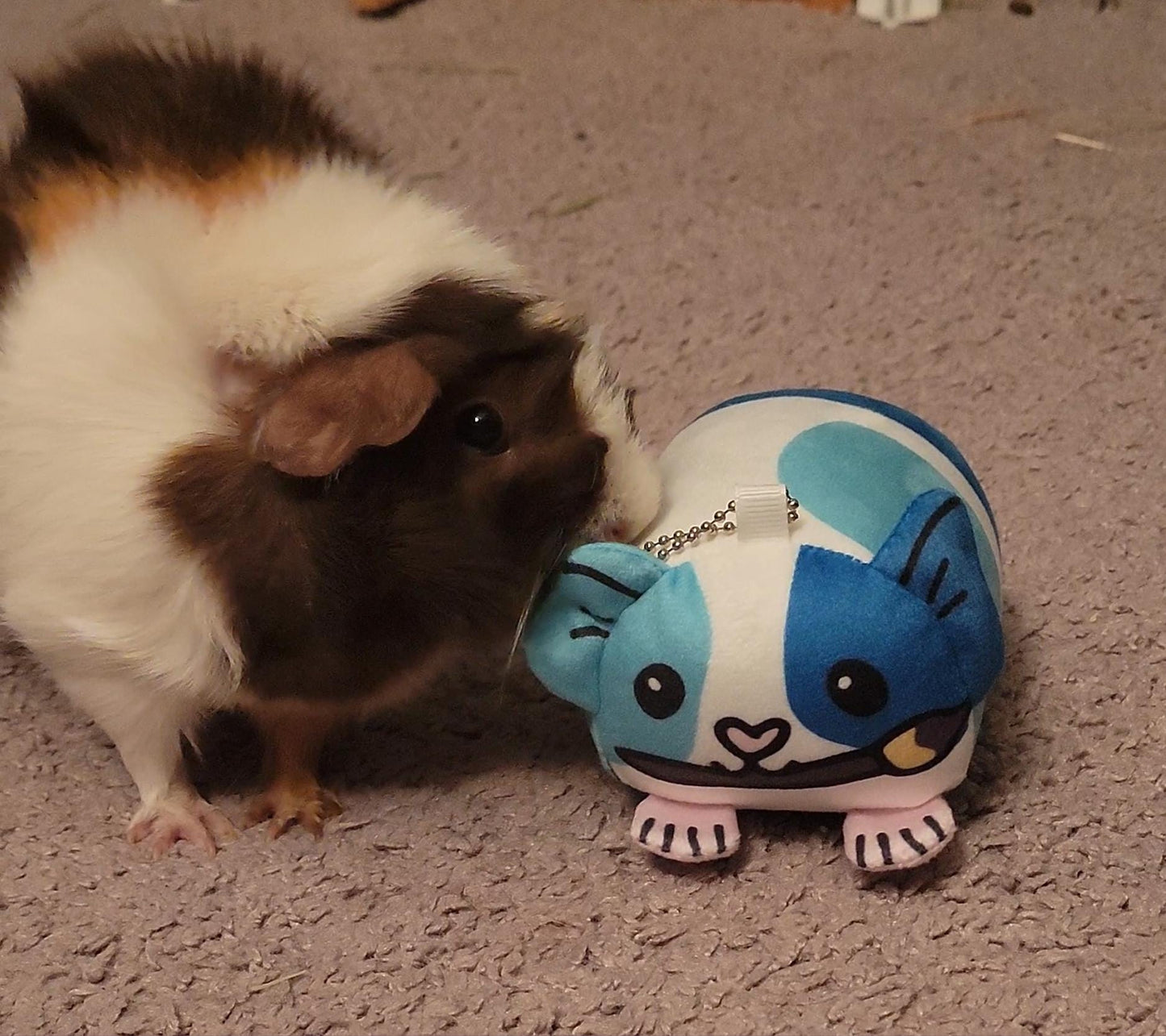 Logo Guinea Pig - Plush Mochikororin Keychain