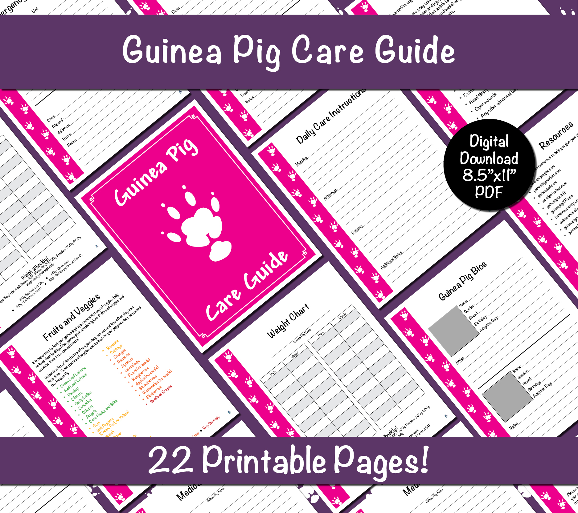 Guinea Pig Care Guide - Pink