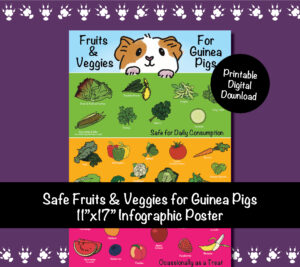 11x17-Safe Fruits & Veggies for Guinea Pigs Infographic Poster