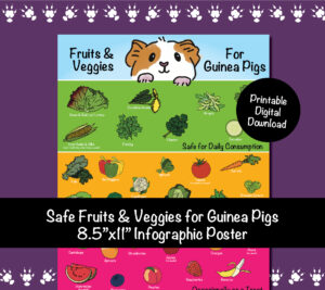 8.5x11-Safe Fruits & Veggies for Guinea Pigs Infographic Poster