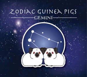 Gemini Sticker-Zodiac Guinea Pigs