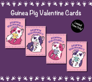 Guinea Pig Valentine's Cards | Folding Card